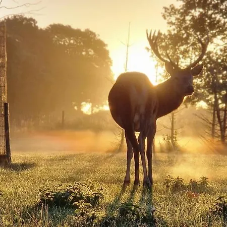 Fjelsted Skov Hotel&konference Hotel