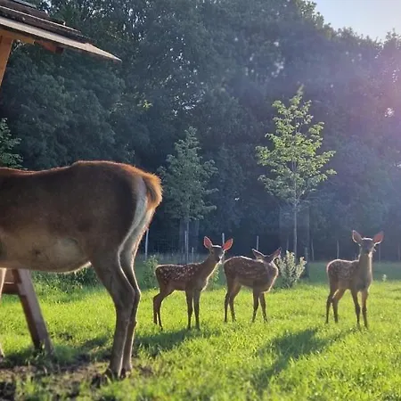 Hotel Fjelsted Skov Hotel&konference 3*