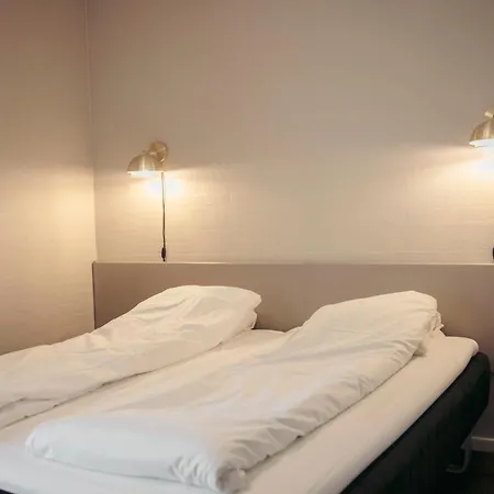 فندق Fjelsted Skov & Konference 3*
