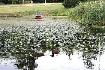 Fjelsted Skov Hotel&konference Ejby (Middelfart)