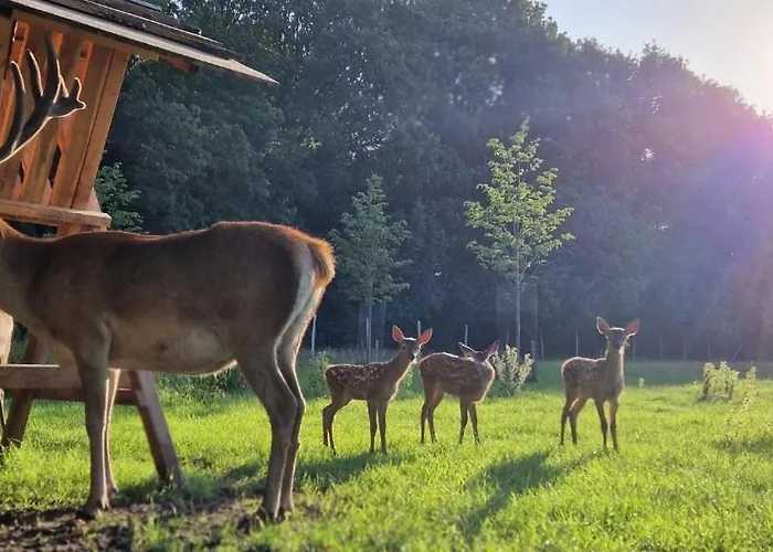 Hotel Fjelsted Skov & Konference 3*