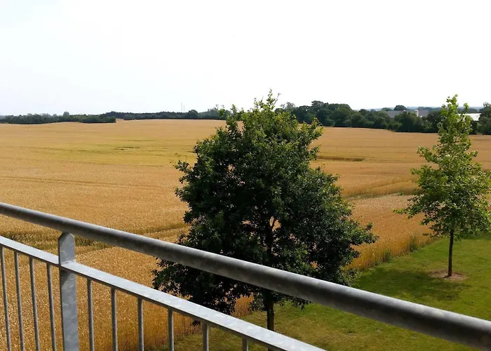 Fjelsted Skov & Konference 3*